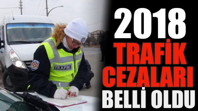 2018in Trafik Cezaları Belli Oldu