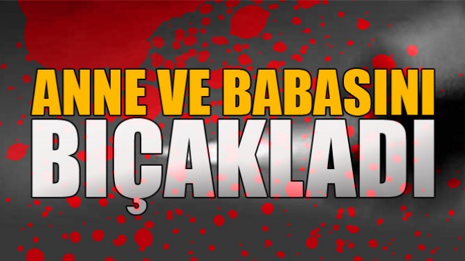 21 Yaşındaki Genç Anne ve Babasını Uyurken Bıçakladı