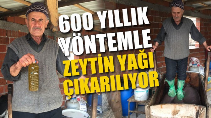 600 yıllık yöntemle zeytinyağı çıkarılıyor