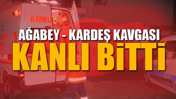 Ağabeyini 4 Yerinden Bıçakladı