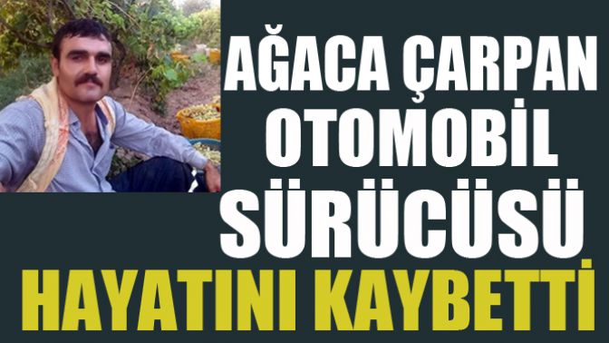 Ağaca Çarpan Otomobilin Sürücüsü Öldü