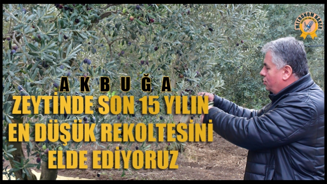 Akbuğa; Zeytinde Son 15 Yılın En Düşük Rekoltesini Elde Ediyoruz