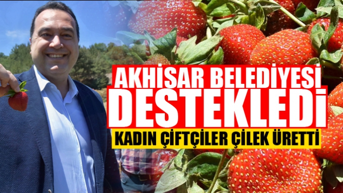 Akhisar Belediyesi destekledi, kadın çiftçiler çilek üretti