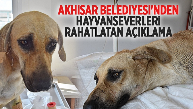 Akhisar Belediyesinden Hayvan severleri Rahatlatan Açıklama