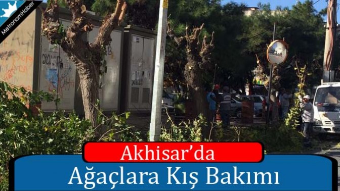 Akhisar’da Ağaçlara Kış Bakımı