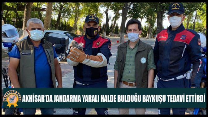 Akhisar’da Jandarma Yaralı Halde Bulduğu Baykuşu Tedavi Ettirdi