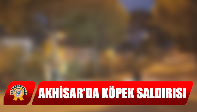 Akhisar’da Köpek Saldırısı