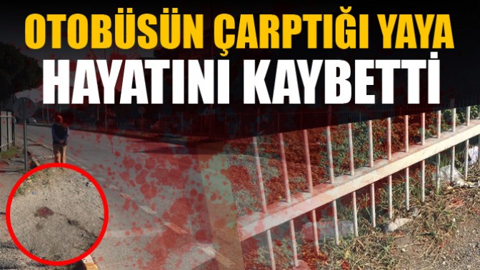 Akhisar’da otobüs çarpan yaya hayatını kaybetti