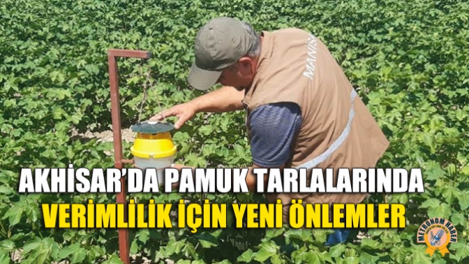 Akhisar’da Pamuk Tarlalarında Verimlilik İçin Yeni Önlemler