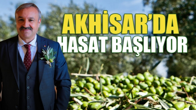 Akhisarda hasat başlıyor