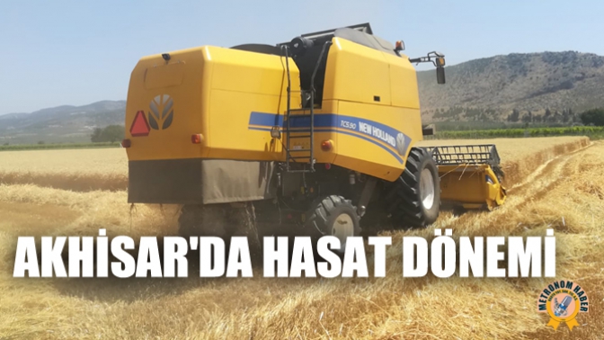 Akhisarda Hasat Dönemi