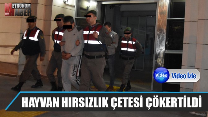 Akhisarda Hayvan Hırsızlık Çetesi Çökertildi