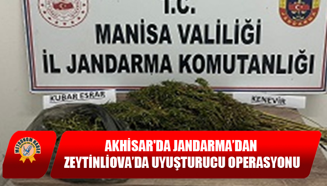 Akhisar'da Jandarma’dan Zeytinliova’da Uyuşturucu Operasyonu