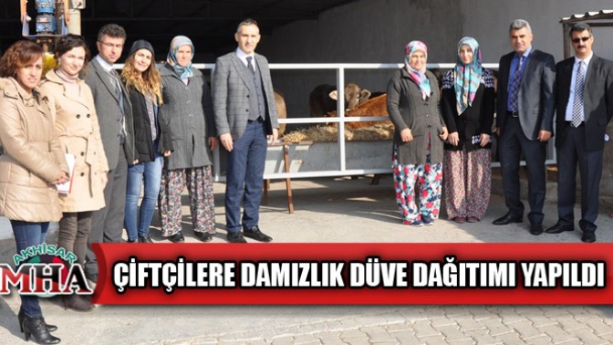 Akhisarlı Genç Çiftçilere Damızlık Düve Dağıtımı Yapıldı