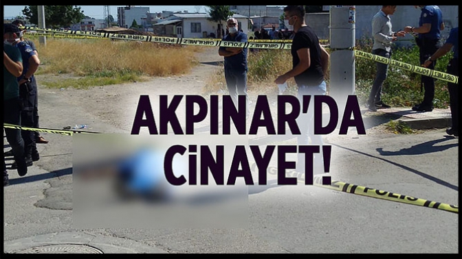 Akpınarda Cinayet