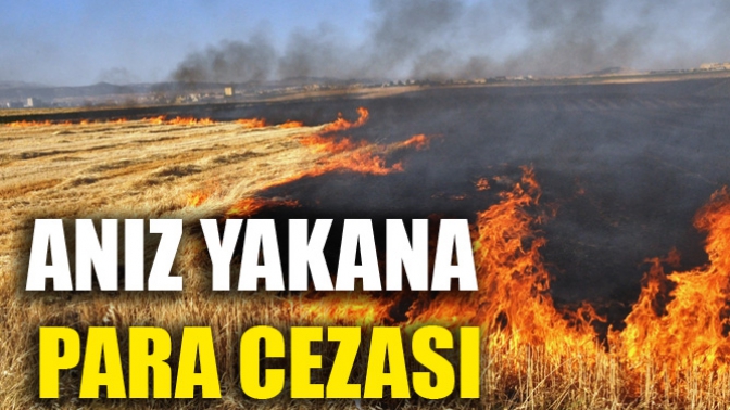 Anız Yakana Para Cezası