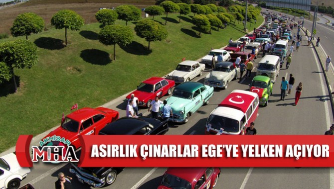 Asırlık Çınarlar Ege’ye Yelken Açıyor