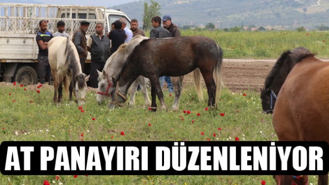 At Panayırı Düzenleniyor