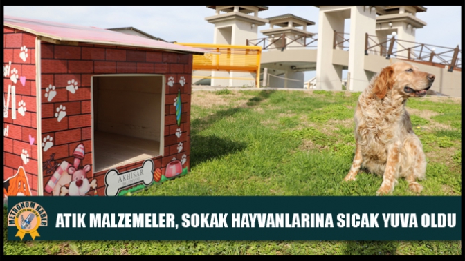 Atık malzemeler, sokak hayvanlarına sıcak yuva oldu