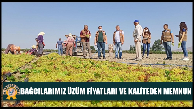 Bağcılarımız Üzüm Fiyatları Ve Kaliteden Memnun