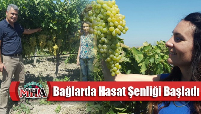 Bağlarda Hasat Şenliği Başladı