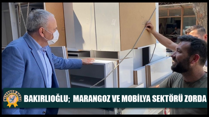 Bakırlıoğlu; Marangoz ve Mobilya Sektörü Zorda