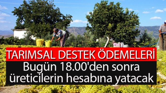 Bugün 18.00den sonra üreticilerin hesabına yatacak