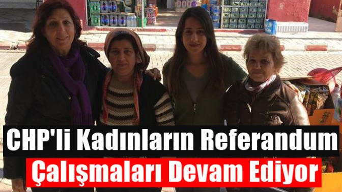 CHPli Kadınların Referandum Çalışmaları Devam Ediyor