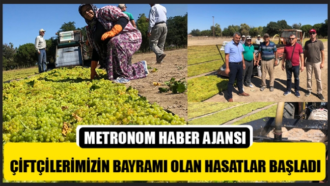 Çiftçilerimizin Bayramı Olan Hasatlar Başladı