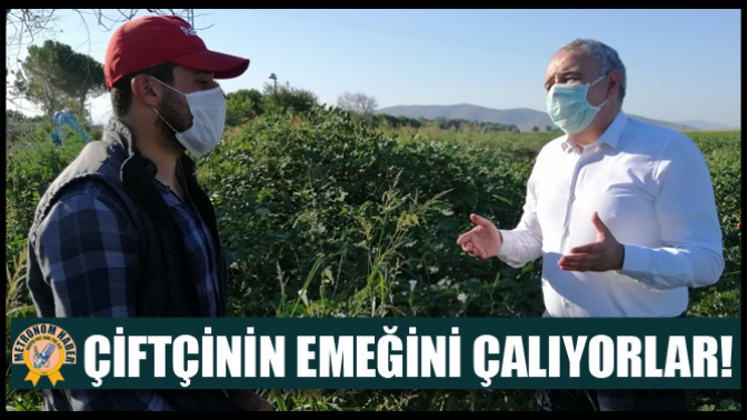 Çiftçinin Emeğini Çalıyorlar!