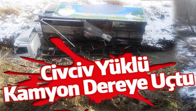 Civciv Yüklü Kamyon Dereye Uçtu