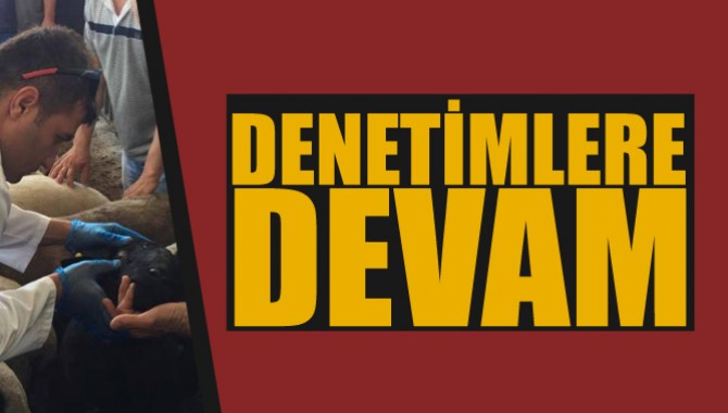 Denetim ve Kontroller Devam Ediyor