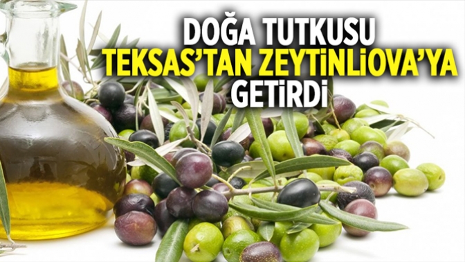 Doğa tutkusu Teksastan Zeytinliovaya getirdi