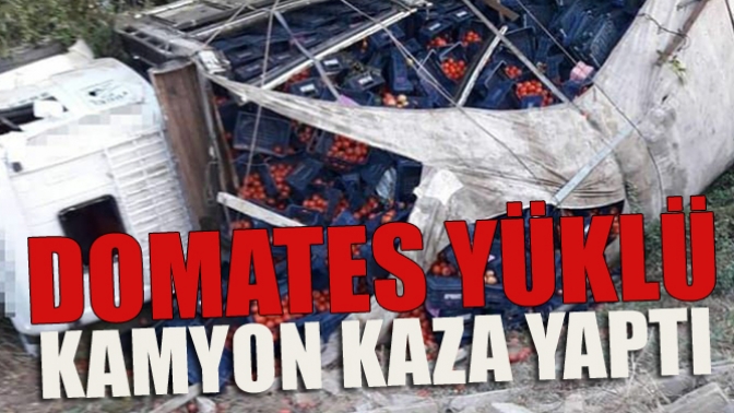 Domates Yüklü Kamyon Kaza Yaptı