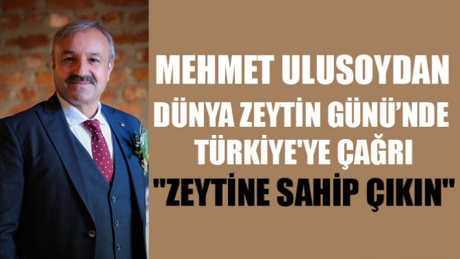 Dünya Zeytin Günü’nde Türkiyeye Çağrı:Zeytine Sahip Çıkın