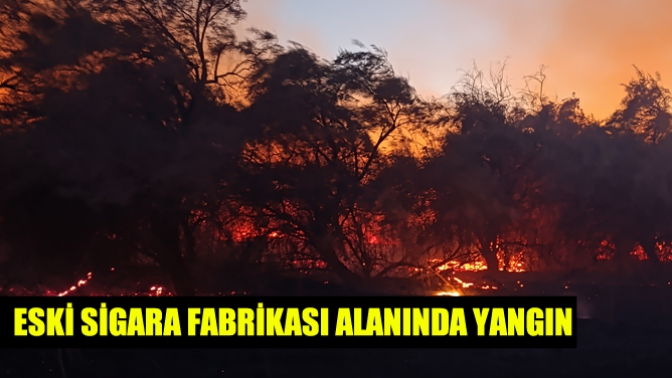 Eski sigara fabrikası alanında yangın