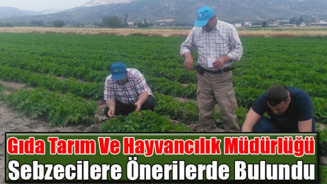 Gıda Tarım Ve Hayvancılık Müdürlüğü Sebzecilere Önerilerde Bulundu