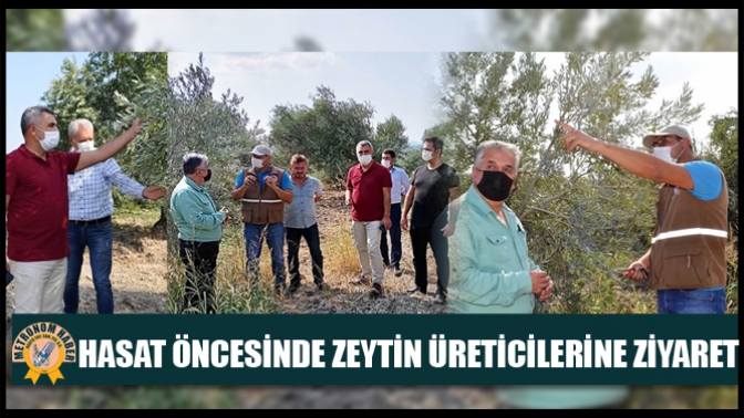 Hasat Öncesinde Zeytin Üreticilerine Ziyaret