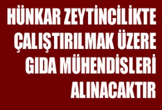 Hünkar Zeytincilik Bünyesinde Çalıştırılmak Üzere Gıda Mühendisleri Alıncaktır.