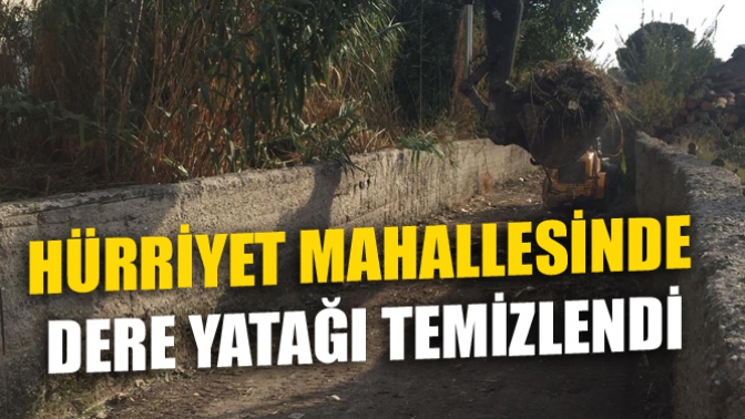 Hürriyet Mahallesinde Dere Yatağı Temizlendi