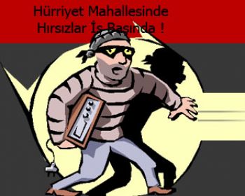 Hürriyet Mahallesinde Hırsızlar İş Başında !