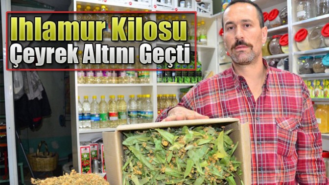 Ihlamur Kilosu Çeyrek Altını Geçti