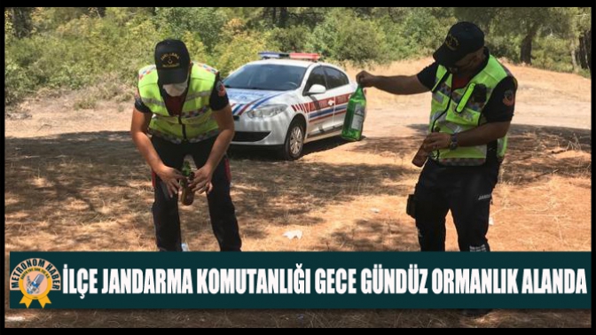 İlçe Jandarma Komutanlığı Gece Gündüz Ormanlık Alanda