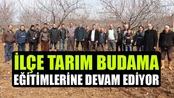 İlçe Tarım Budama Eğitimlerine Devam Ediyor