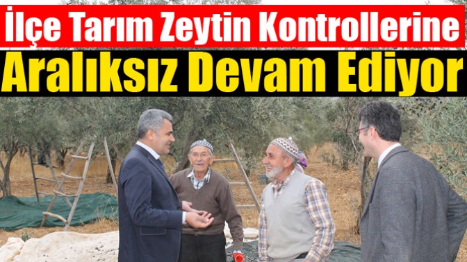 İlçe Tarım Zeytin Kontrollerine Aralıksız Devam Ediyor