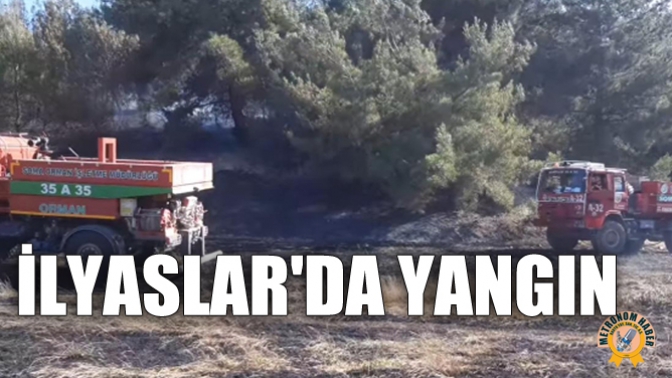 İlyaslarda Yangın