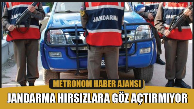 Jandarma Hırsızlara Göz Açtırmıyor