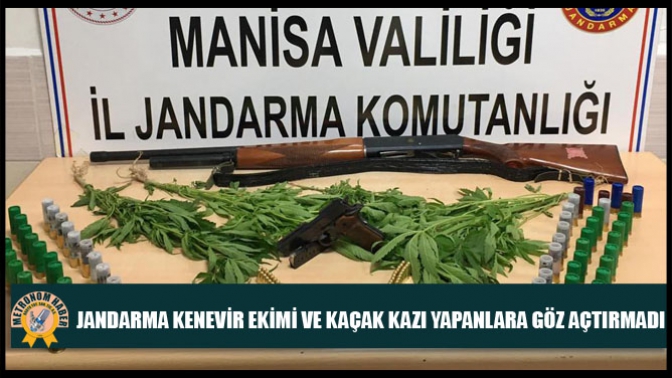 Jandarma Kenevir Ekimi ve Kaçak Kazı Yapanlara Göz Açtırmadı