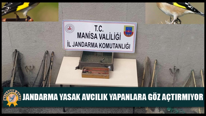 Jandarma Yasak Avcılık Yapanlara Göz Açtırmıyor