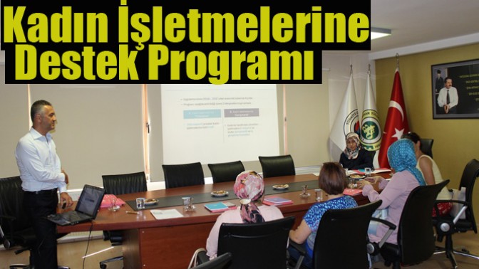 Kadın İşletmelerine Desteği Programı